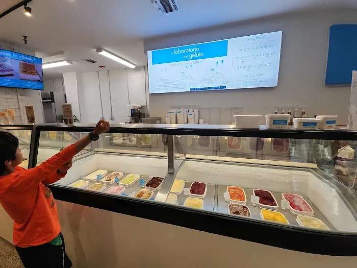 il laboratorio del gelato Picture 8