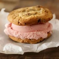 il laboratorio del gelato ico