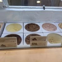 Haagen-Dazs Shop ico