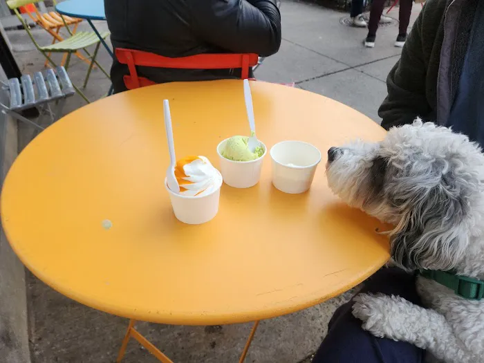Trudy's Ice Cream Picture 6