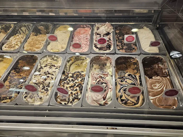 Torico Ice Cream Picture 2