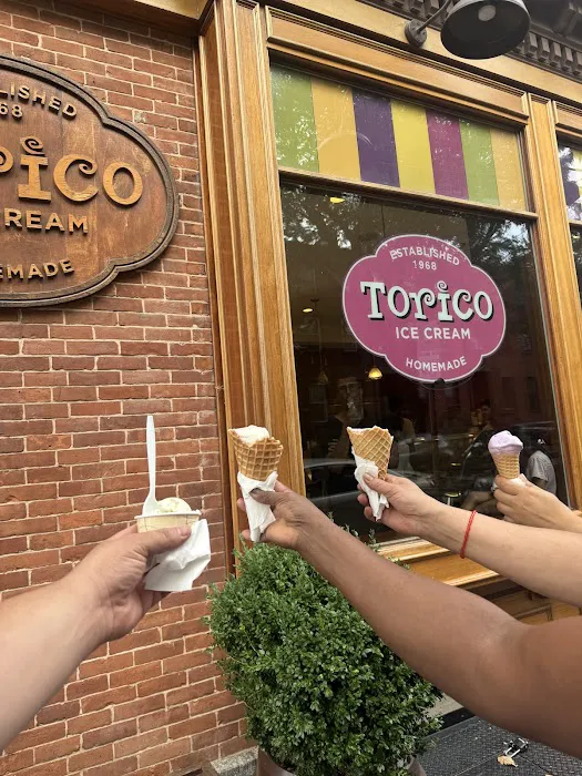 Torico Ice Cream Picture 10