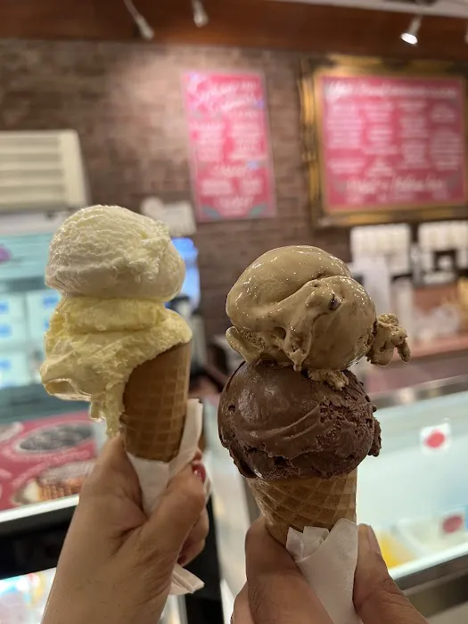Torico Ice Cream Picture 9