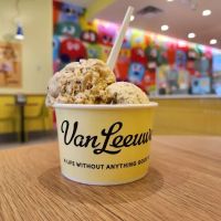 Van Leeuwen Ice Cream ico