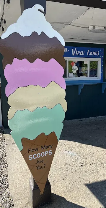 Mountain View Ice Cream Picture 2