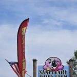 Sanctuary Dairy Farm Ice Cream