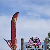 Sanctuary Dairy Farm Ice Cream ico