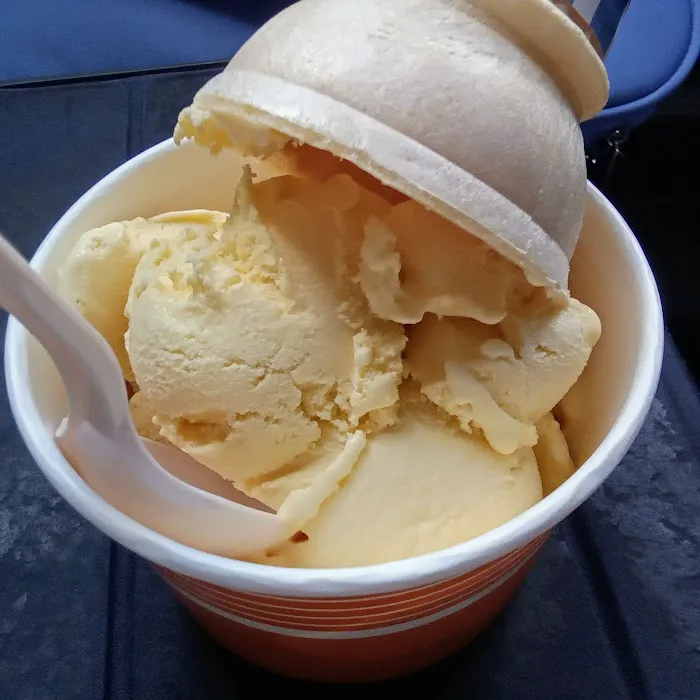 Sanctuary Dairy Farm Ice Cream Picture 4