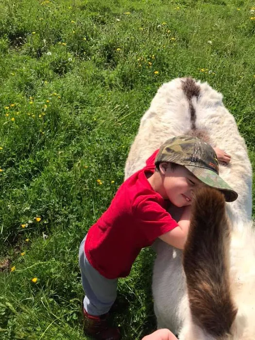 Sanctuary Dairy Farm Ice Cream Picture 8