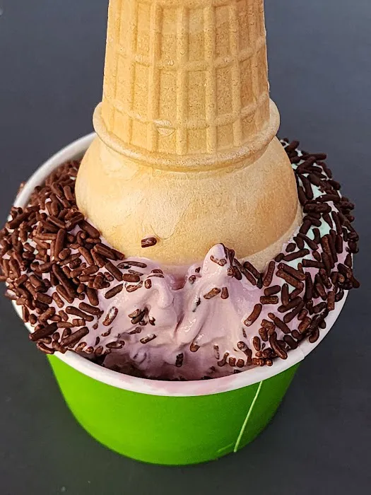 Mr. Cone Picture 8