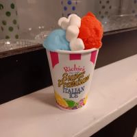 Pj's Slush shop ico