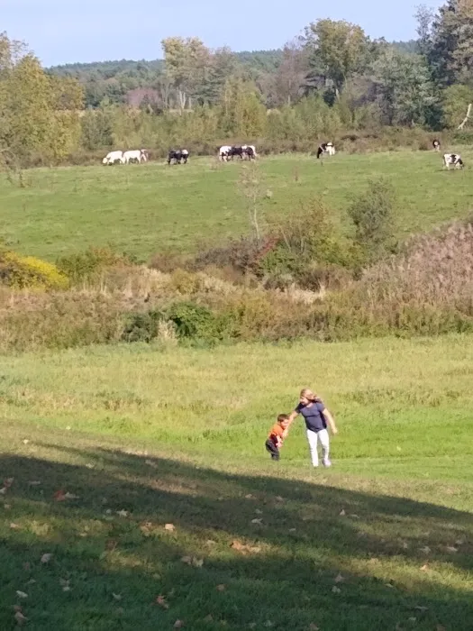 Carter & Stevens Farm Picture 1
