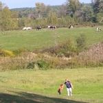 Carter & Stevens Farm