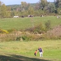 Carter & Stevens Farm ico