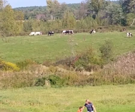 Carter & Stevens Farm