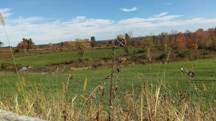 Carter & Stevens Farm Picture 4