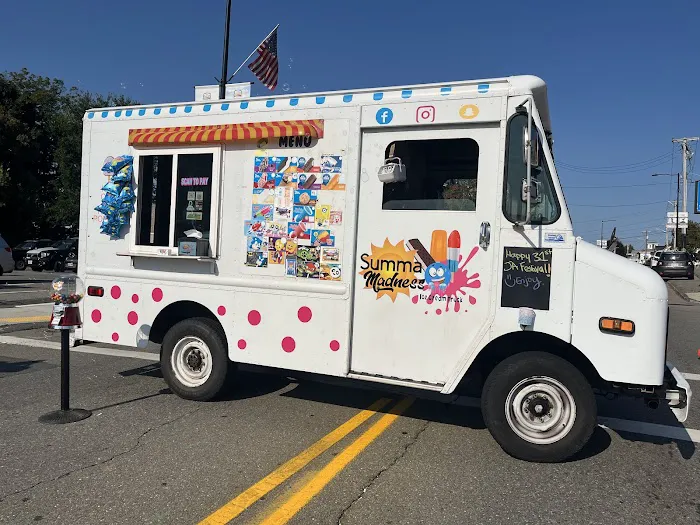 Summa Madness LLC~Ice Cream Truck Picture 5