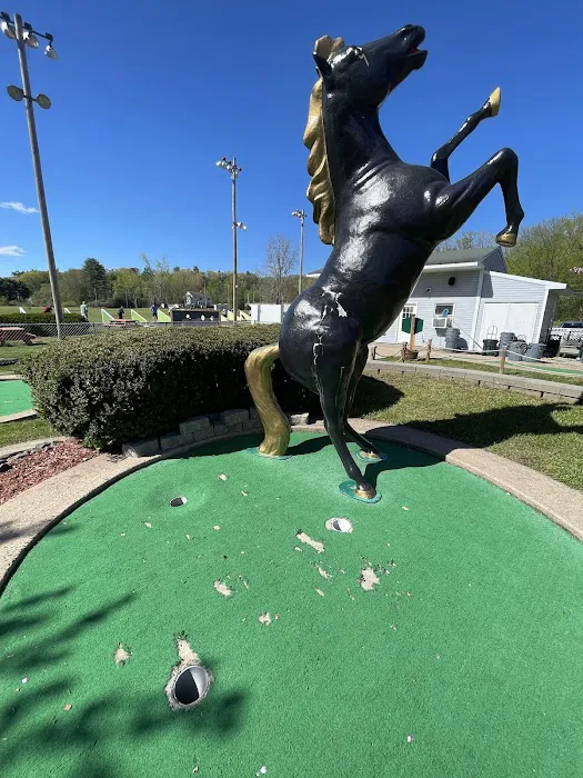Mr. Whipy's Golf Acres Picture 10