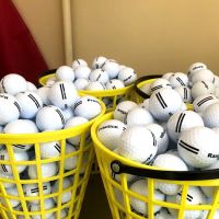 Mr. Whipy's Golf Acres ico