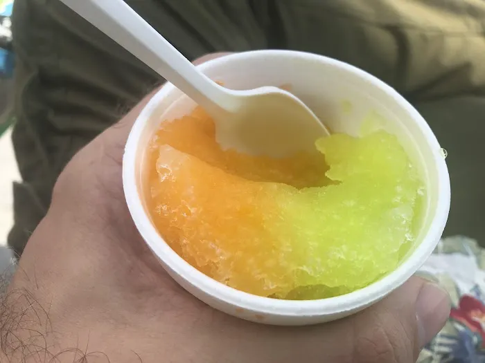 Pelican's Snoballs Picture 6
