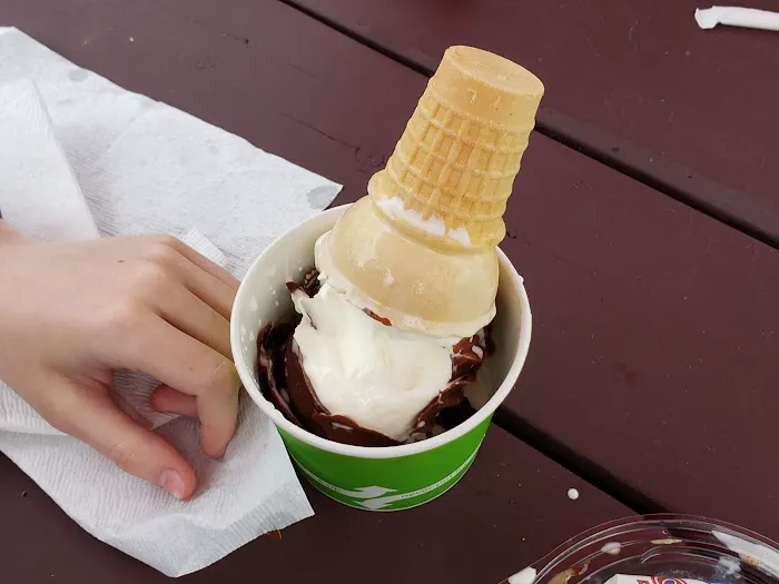 Milky Way Ice Cream & Mini Golf Picture 8
