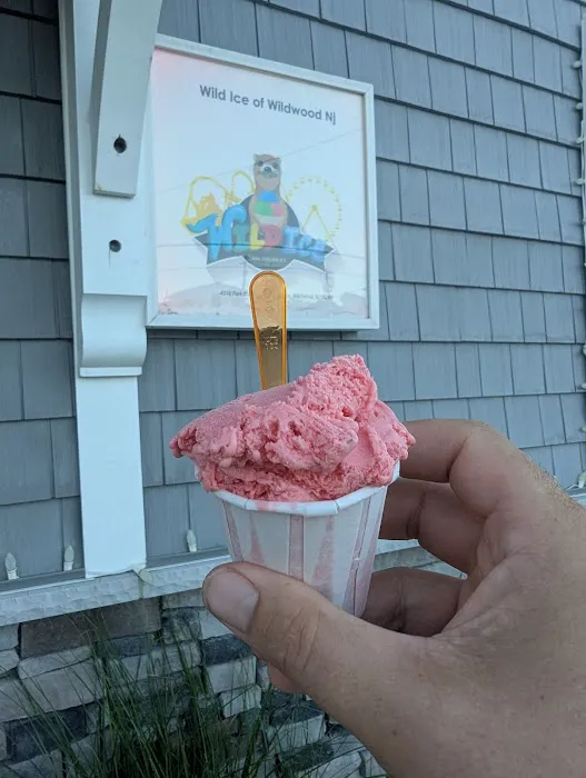 Wild Ice - Italian Ice & Gelato Picture 5