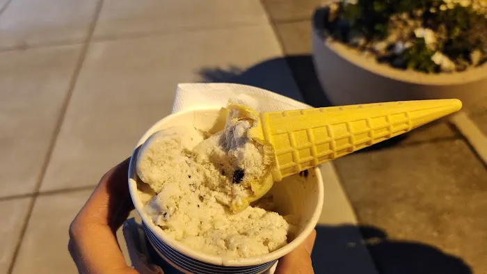 Dairy Delite Picture 5