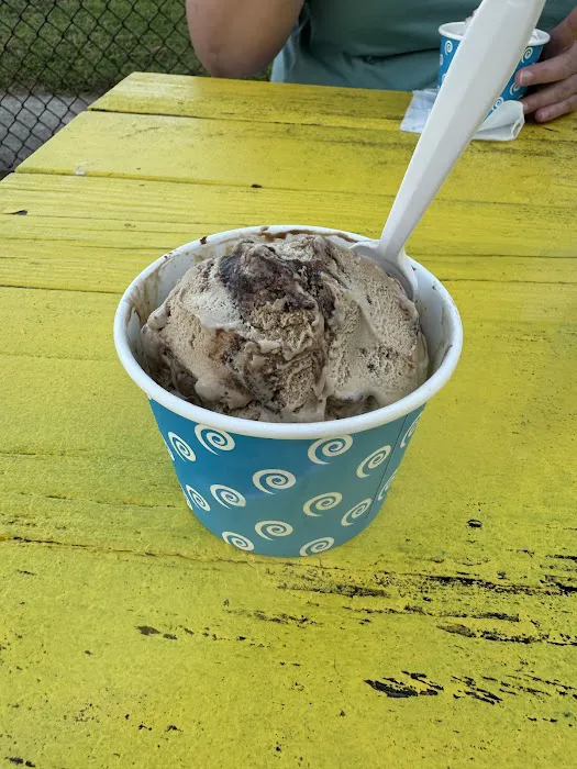 Sea Shell Ice Cream Picture 6