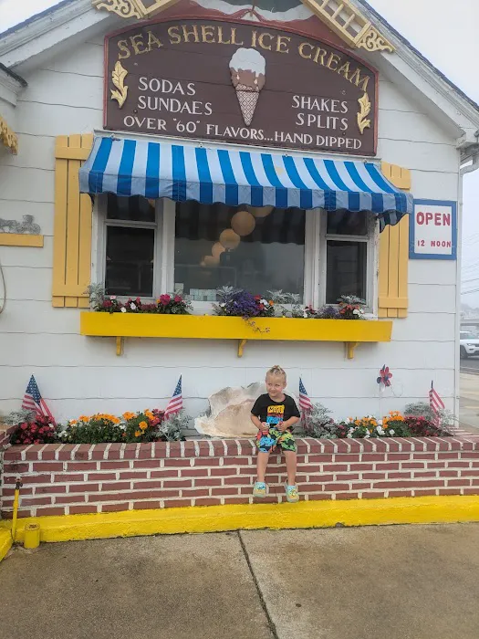 Sea Shell Ice Cream Picture 5