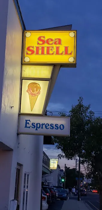 Sea Shell Ice Cream Picture 7