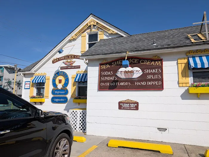 Sea Shell Ice Cream Picture 1
