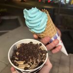 Ryder’s Ice Cream
