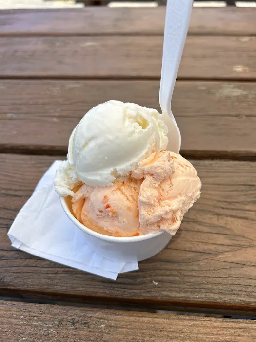 Lacroix’s Homemade Ice Cream Picture 7