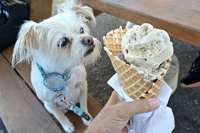Lacroix’s Homemade Ice Cream Picture 5