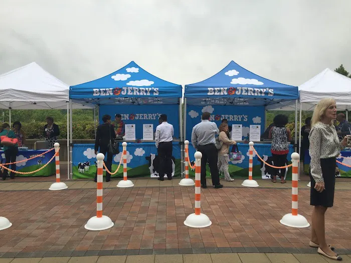 Ben & Jerry's Ice Cream Catering Picture 5