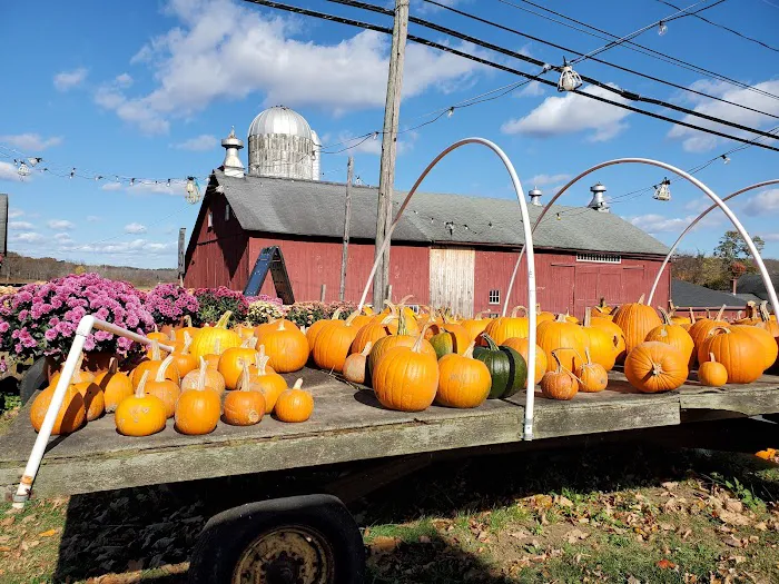 Tulmeadow Farm Store Picture 5
