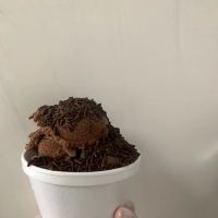 Angel's Savin Rock Creamery ico