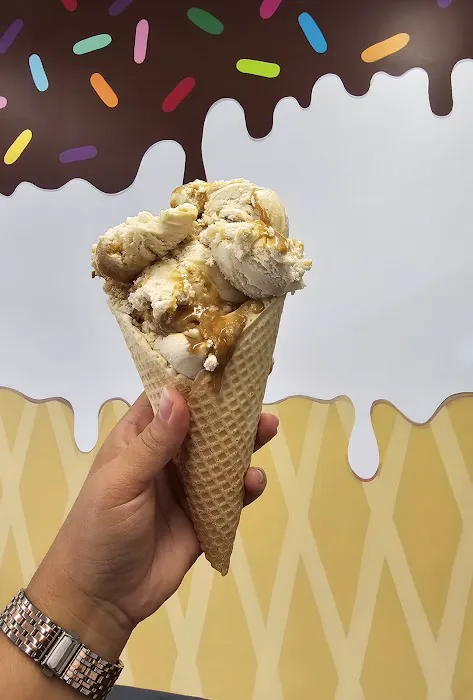 Scoopy's Ice Cream Picture 8