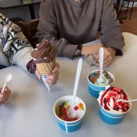 Papa Scoops LLC ico
