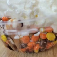 Praline's Ice Cream ico