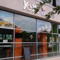 YoYo Thai Ice Cream Roll ico