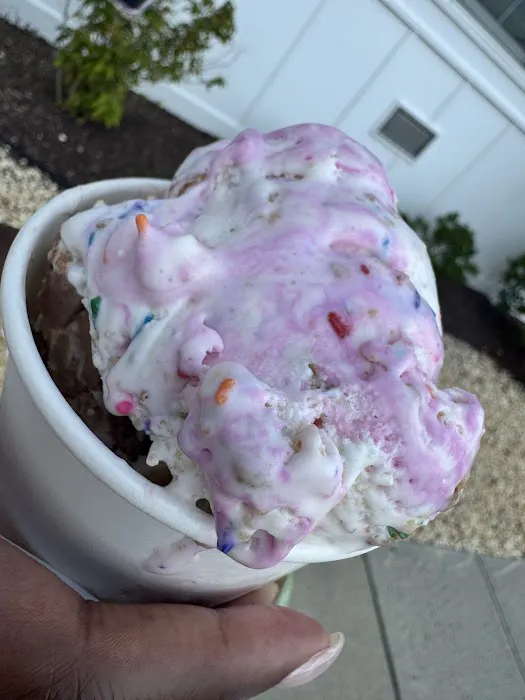 The Salty Scoop Picture 1
