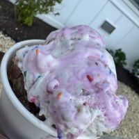 The Salty Scoop ico