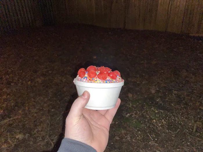 The Original Rich's Ice Cream Picture 5