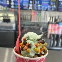 Mrs. Walker's Homemade Ice Cream ico