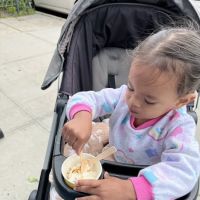 Light & Sweet Coffee and Ice Cream Parlor ico