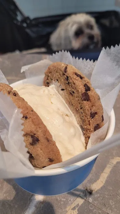 Van Leeuwen Ice Cream Picture 10