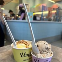 Van Leeuwen Ice Cream ico