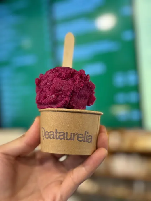 Aurelia - Authentic Asian Flavors in Gelato & Sorbetto (Midtown NYC) Picture 8