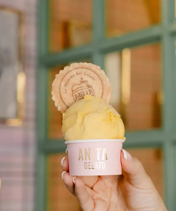 Anita La Mamma del Gelato Picture 4